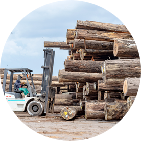 FORESTRY CONCESSIONS